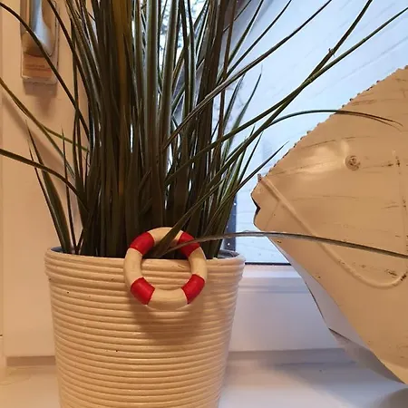 公寓 Grosse Mit Terrasse Und Grill Grosssolt